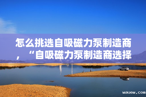 怎么挑选自吸磁力泵制造商,“自吸磁力泵制造商选择指南:关键要素与实用技巧” 怎么挑选自吸磁力泵制造商,“自吸磁力泵制造商选择指南:关键要素与实用技巧”