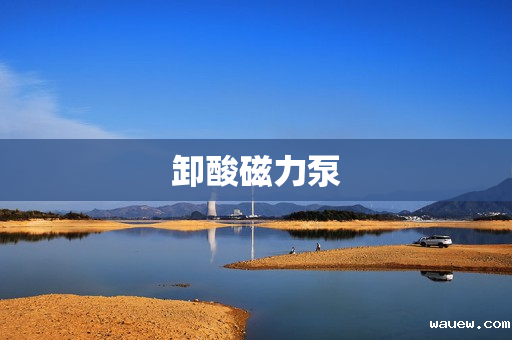 卸酸磁力泵 卸酸磁力泵