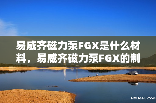 易威齐磁力泵FGX是什么材料,易威齐磁力泵FGX的制造材料解析 易威齐磁力泵FGX是什么材料,易威齐磁力泵FGX的制造材料解析