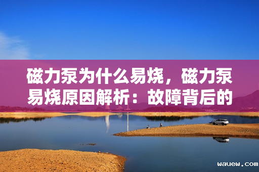 磁力泵为什么易烧,磁力泵易烧原因解析:故障背后的关键因素探讨 磁力泵为什么易烧,磁力泵易烧原因解析:故障背后的关键因素探讨