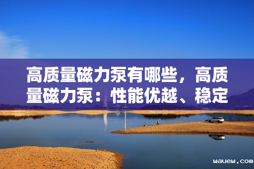 高质量磁力泵有哪些,高质量磁力泵:性能优越、稳定可靠的选择 高质量磁力泵有哪些,高质量磁力泵:性能优越、稳定可靠的选择