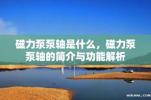 磁力泵泵轴是什么,磁力泵泵轴的简介与功能解析 磁力泵泵轴是什么,磁力泵泵轴的简介与功能解析