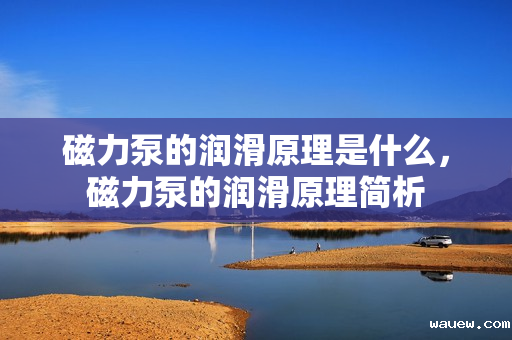 磁力泵的润滑原理是什么,磁力泵的润滑原理简析 磁力泵的润滑原理是什么,磁力泵的润滑原理简析