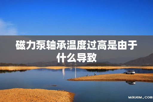 磁力泵轴承温度过高是由于什么导致 磁力泵轴承温度过高是由于什么导致