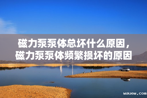 磁力泵泵体总坏什么原因,磁力泵泵体频繁损坏的原因解析 磁力泵泵体总坏什么原因,磁力泵泵体频繁损坏的原因解析