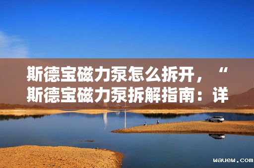 斯德宝磁力泵怎么拆开,“斯德宝磁力泵拆解指南:详细步骤与注意事项” 斯德宝磁力泵怎么拆开,“斯德宝磁力泵拆解指南:详细步骤与注意事项”