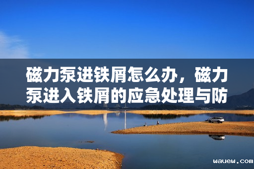 磁力泵进铁屑怎么办,磁力泵进入铁屑的应急处理与防范措施 磁力泵进铁屑怎么办,磁力泵进入铁屑的应急处理与防范措施
