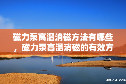 磁力泵高温消磁方法有哪些,磁力泵高温消磁的有效方法探讨 磁力泵高温消磁方法有哪些,磁力泵高温消磁的有效方法探讨