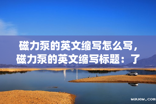 磁力泵的英文缩写怎么写,磁力泵的英文缩写标题:了解磁力泵的英文缩写——掌握行业术语 磁力泵的英文缩写怎么写,磁力泵的英文缩写标题:了解磁力泵的英文缩写——掌握行业术语