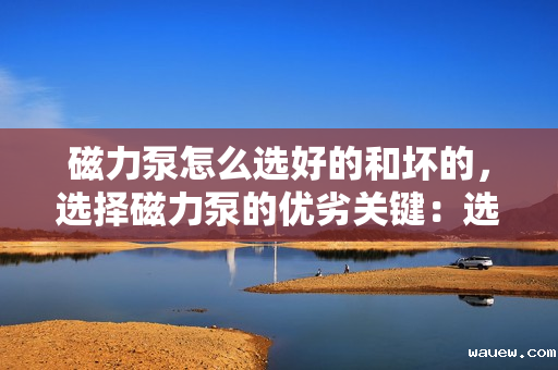 磁力泵怎么选好的和坏的,选择磁力泵的优劣关键:选购指南与判别技巧 磁力泵怎么选好的和坏的,选择磁力泵的优劣关键:选购指南与判别技巧