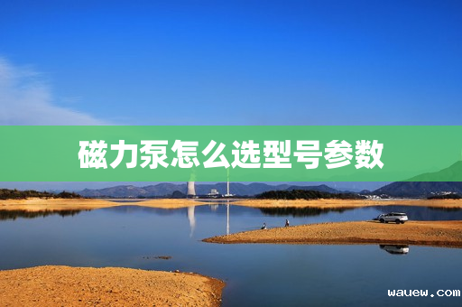 磁力泵怎么选型号参数 磁力泵怎么选型号参数