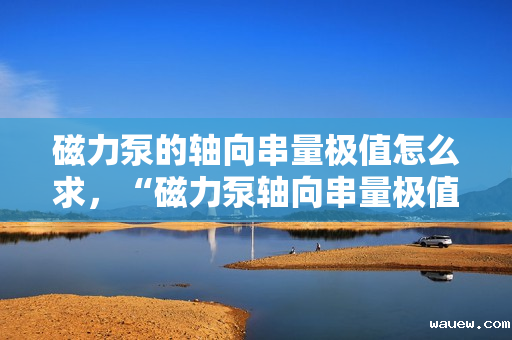 磁力泵的轴向串量极值怎么求,“磁力泵轴向串量极值计算方法探讨” 磁力泵的轴向串量极值怎么求,“磁力泵轴向串量极值计算方法探讨”