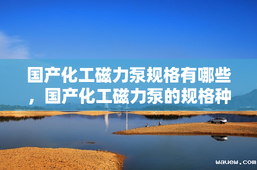 国产化工磁力泵规格有哪些,国产化工磁力泵的规格种类概览 国产化工磁力泵规格有哪些,国产化工磁力泵的规格种类概览