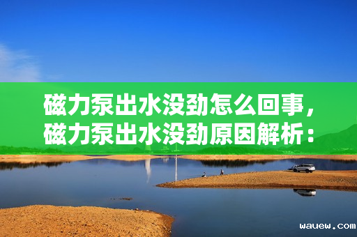 磁力泵出水没劲怎么回事,磁力泵出水没劲原因解析:故障排查与解决方案 磁力泵出水没劲怎么回事,磁力泵出水没劲原因解析:故障排查与解决方案