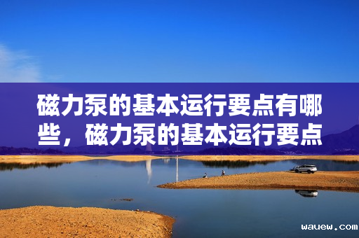 磁力泵的基本运行要点有哪些,磁力泵的基本运行要点概览:确保高效稳定运行的关键要素 磁力泵的基本运行要点有哪些,磁力泵的基本运行要点概览:确保高效稳定运行的关键要素
