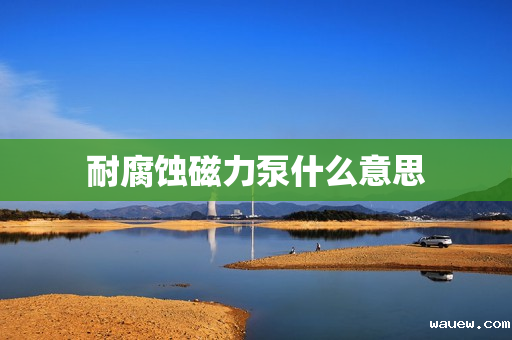 耐腐蚀磁力泵什么意思 耐腐蚀磁力泵什么意思