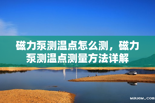 磁力泵测温点怎么测,磁力泵测温点测量方法详解 磁力泵测温点怎么测,磁力泵测温点测量方法详解