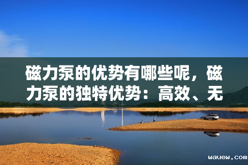 磁力泵的优势有哪些呢,磁力泵的独特优势:高效、无泄漏与长寿命的完美结合 磁力泵的优势有哪些呢,磁力泵的独特优势:高效、无泄漏与长寿命的完美结合