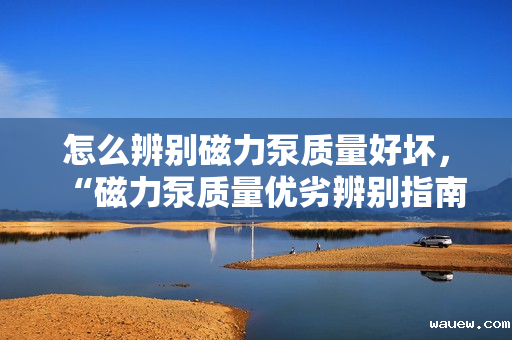 怎么辨别磁力泵质量好坏,“磁力泵质量优劣辨别指南:关键要点一网打尽” 怎么辨别磁力泵质量好坏,“磁力泵质量优劣辨别指南:关键要点一网打尽”