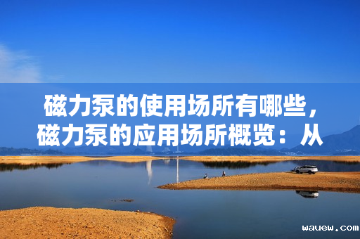 磁力泵的使用场所有哪些,磁力泵的应用场所概览:从化工到医药的多领域应用 磁力泵的使用场所有哪些,磁力泵的应用场所概览:从化工到医药的多领域应用