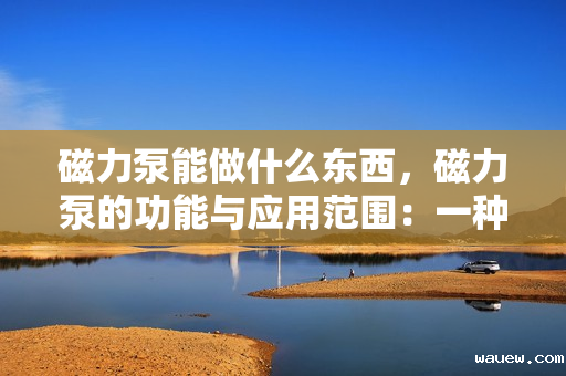 磁力泵能做什么东西,磁力泵的功能与应用范围:一种高效、安全的无泄漏输送设备 磁力泵能做什么东西,磁力泵的功能与应用范围:一种高效、安全的无泄漏输送设备