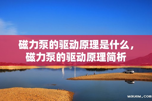 磁力泵的驱动原理是什么,磁力泵的驱动原理简析 磁力泵的驱动原理是什么,磁力泵的驱动原理简析