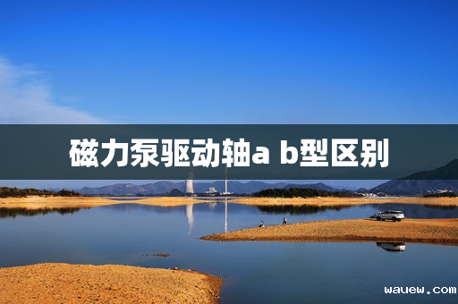 磁力泵驱动轴a b型区别 磁力泵驱动轴a b型区别