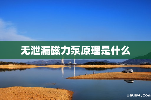 无泄漏磁力泵原理是什么 无泄漏磁力泵原理是什么