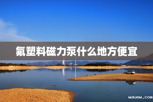 氟塑料磁力泵什么地方便宜 氟塑料磁力泵什么地方便宜
