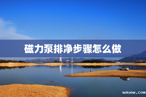 磁力泵排净步骤怎么做 磁力泵排净步骤怎么做