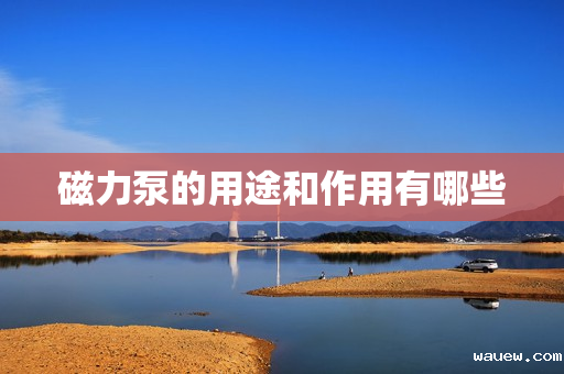 磁力泵的用途和作用有哪些 磁力泵的用途和作用有哪些