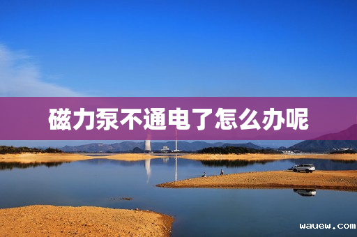 磁力泵不通电了怎么办呢 磁力泵不通电了怎么办呢