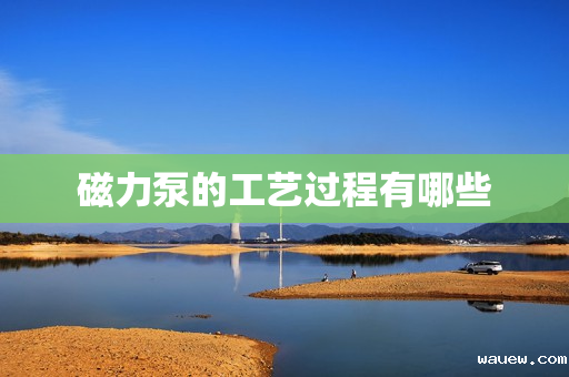 磁力泵的工艺过程有哪些 磁力泵的工艺过程有哪些