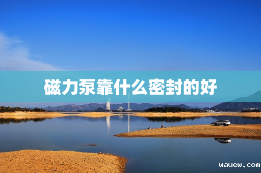 磁力泵靠什么密封的好 磁力泵靠什么密封的好