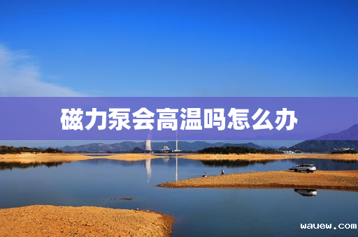 磁力泵会高温吗怎么办 磁力泵会高温吗怎么办