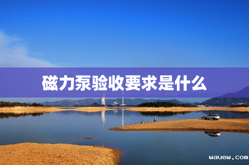 磁力泵验收要求是什么 磁力泵验收要求是什么