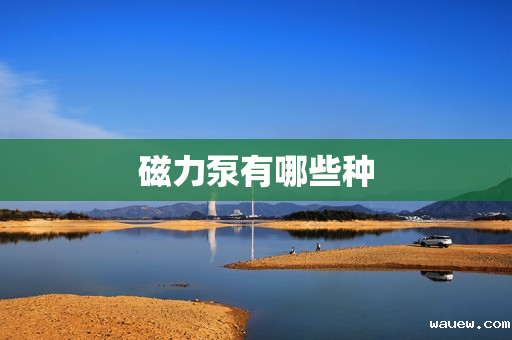 磁力泵有哪些种 磁力泵有哪些种