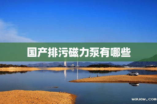 国产排污磁力泵有哪些 国产排污磁力泵有哪些