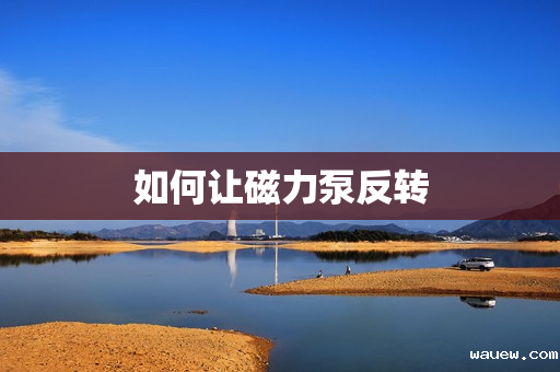 如何让磁力泵反转 如何让磁力泵反转