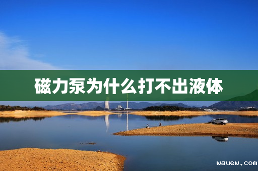 磁力泵为什么打不出液体 磁力泵为什么打不出液体