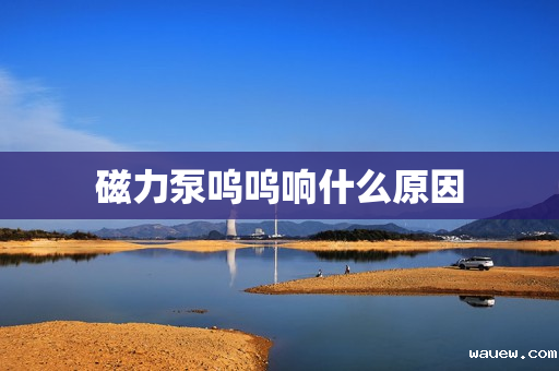 磁力泵呜呜响什么原因 磁力泵呜呜响什么原因