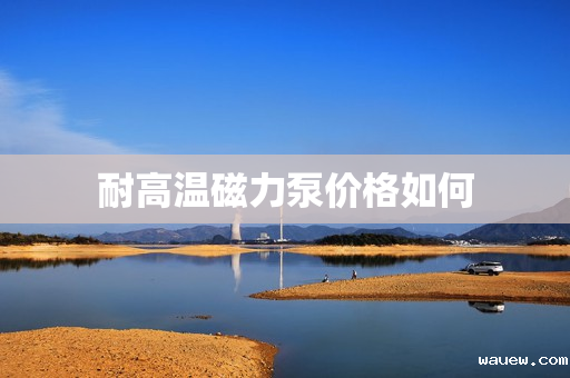 耐高温磁力泵价格如何 耐高温磁力泵价格如何