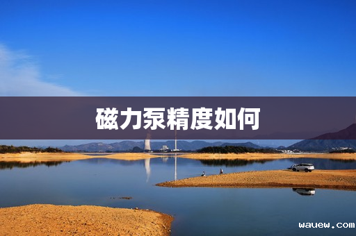 磁力泵精度如何 磁力泵精度如何