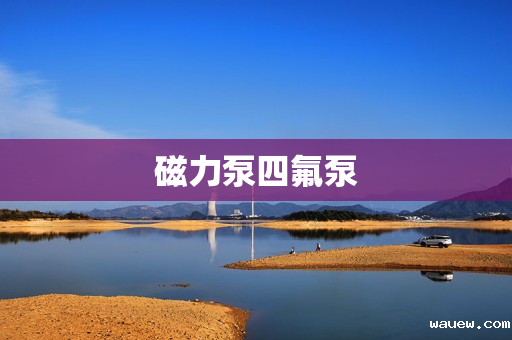 磁力泵四氟泵 磁力泵四氟泵