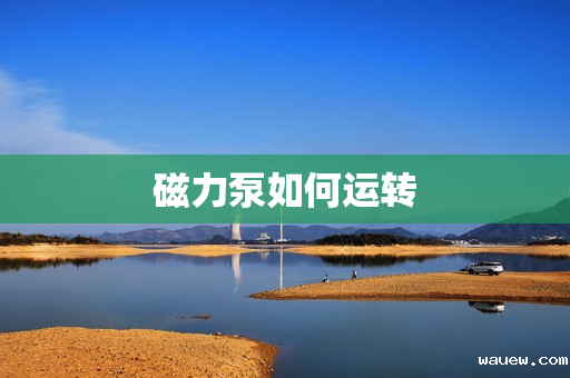 磁力泵如何运转 磁力泵如何运转