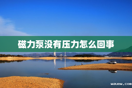 磁力泵没有压力怎么回事 磁力泵没有压力怎么回事