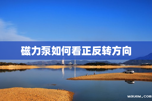 磁力泵如何看正反转方向 磁力泵如何看正反转方向