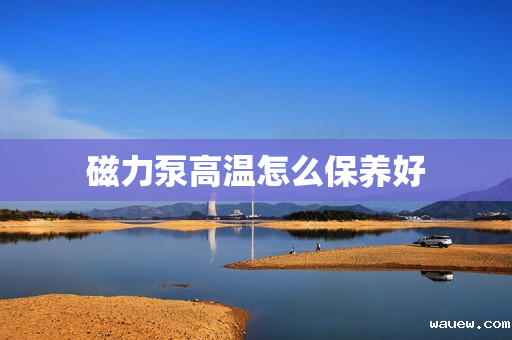 磁力泵高温怎么保养好 磁力泵高温怎么保养好