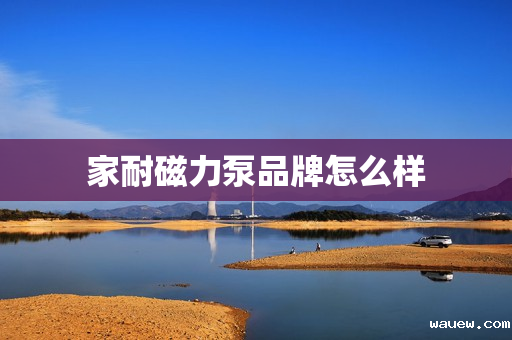 家耐磁力泵品牌怎么样 家耐磁力泵品牌怎么样