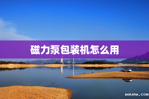 磁力泵包装机怎么用 磁力泵包装机怎么用